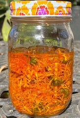 jar of calendula infused jojoba oil, infusing oils, benefits, warnings