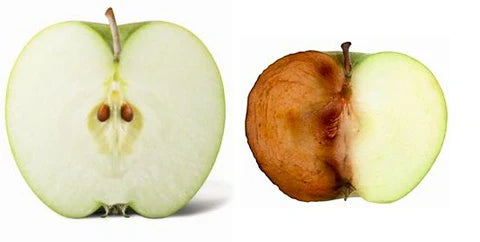 apple sliced in half to demonstrate oxidation | Stop Premature aging: The environmental factors you can control