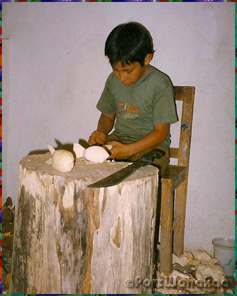 Young Boys Carve and Sand Oaxacan Carvings Copal Wood