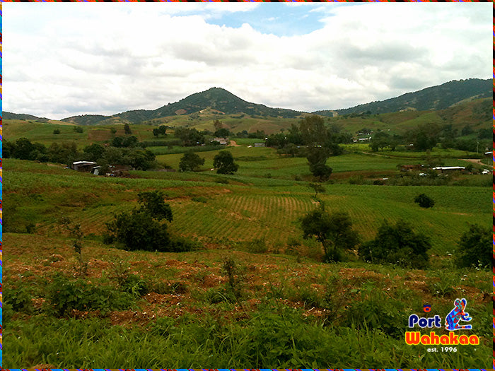 Hills and Valleys La Union Oaxaca Mexico