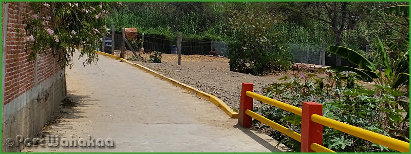 Banana Bridge Garden San Martin Tilcajete