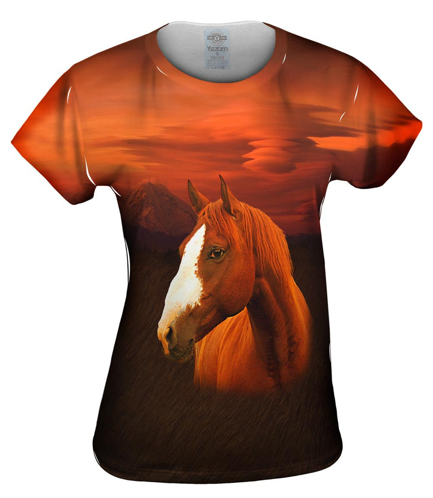 Painted Horse Womens Top | Yizzam
