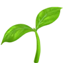 plant.webp__PID:771a6d2a-fe01-44b1-8ffb-b58b253fc90a