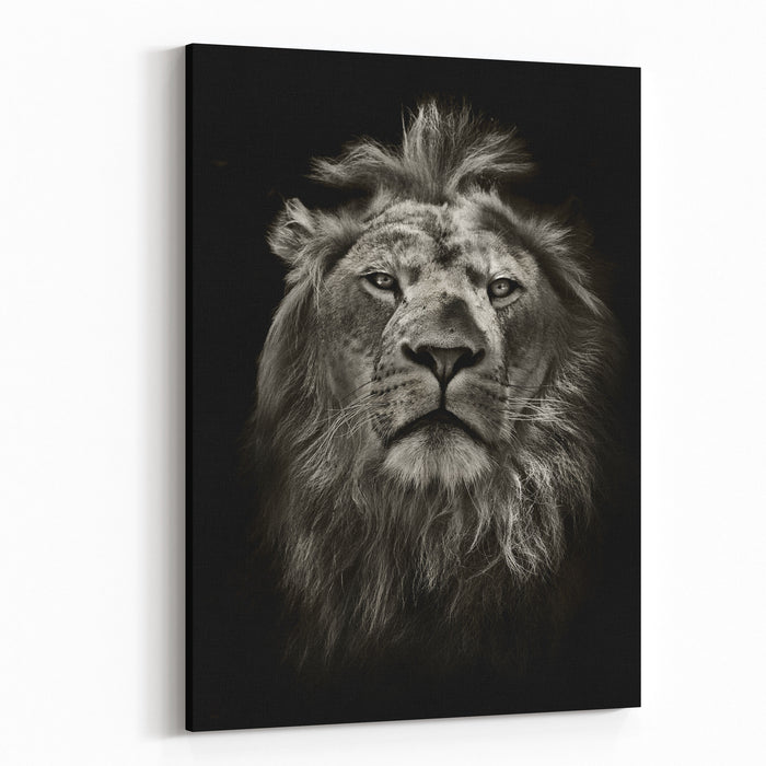 Graphic Black And White Lion Portrait On Black Canvas Wall Art Print