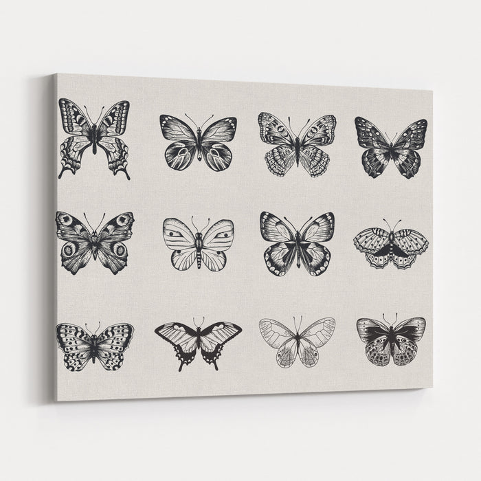 Set Of Butterflies Vector Vintage Classic Illustration Black And