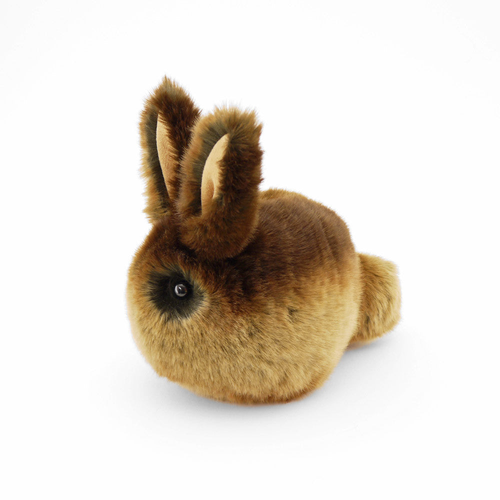 brown bunny plush