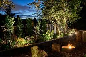 12v garden spotlights in raised beds illuminating shrubs, plants, trees