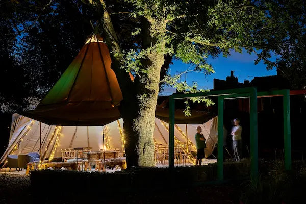 Garden at dusk with a large Oak tree illuminated by in-lite 12 volt outdoor spotlights lighting up the oak tree from the ground up.