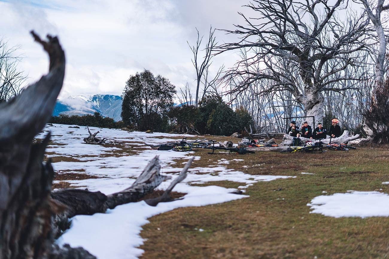 Attaquer Gnarled Tree Over Yonder Racing