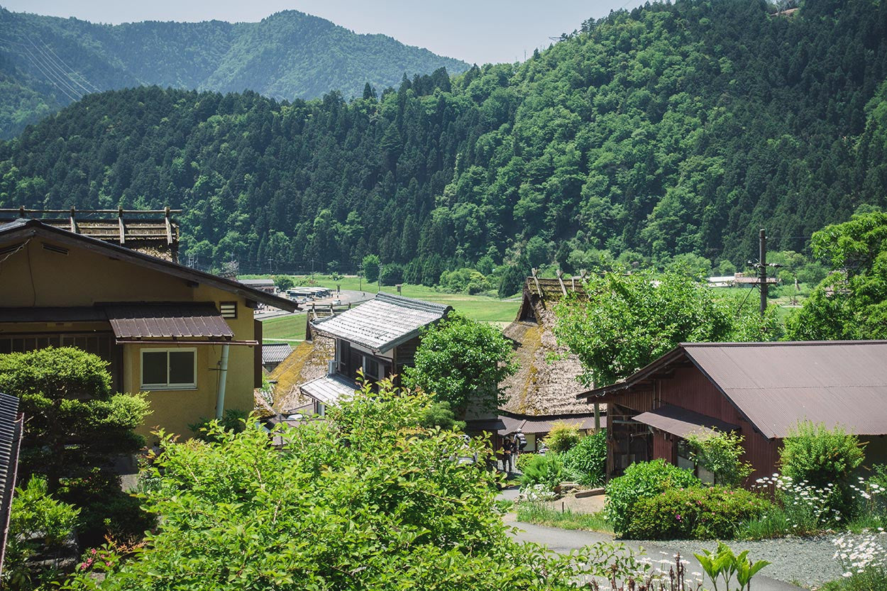 Attaquer Japan Andrew Walsh