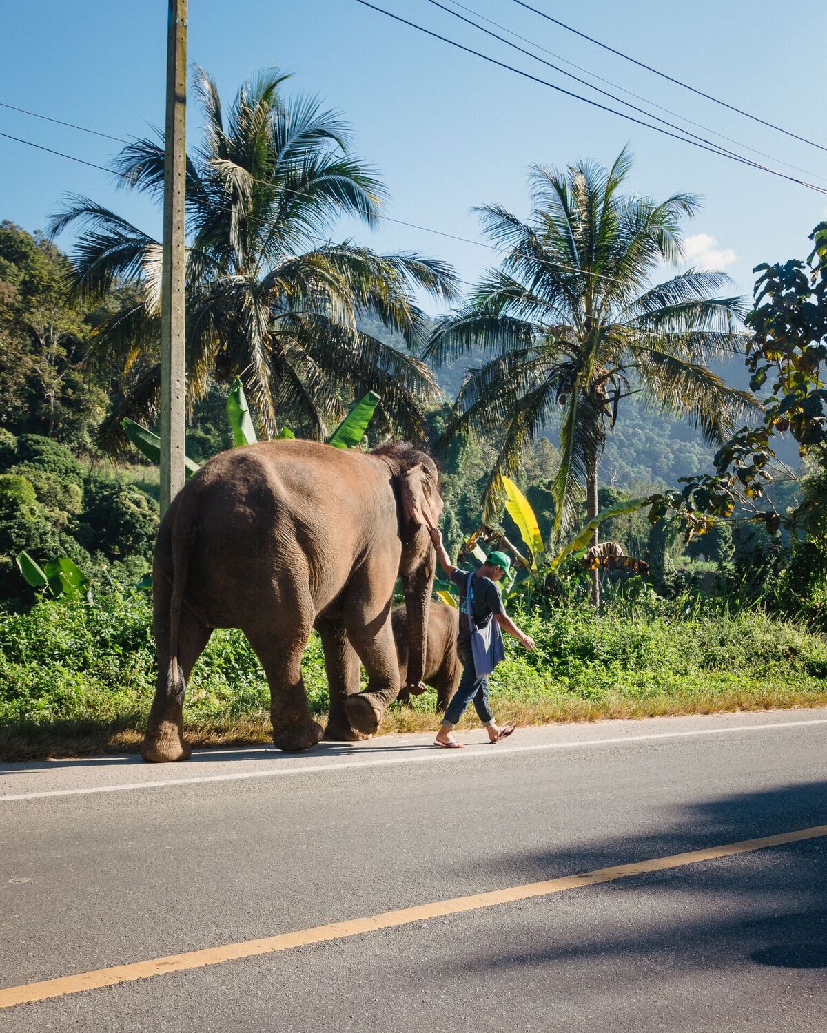 Bonus points as we saw elephants on the side of the road