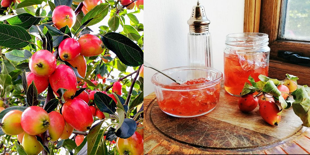 Crab Apple Jelly Recipe and image