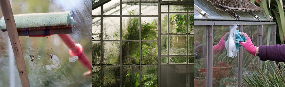 November in the Garden - cleaning the greenhouse 