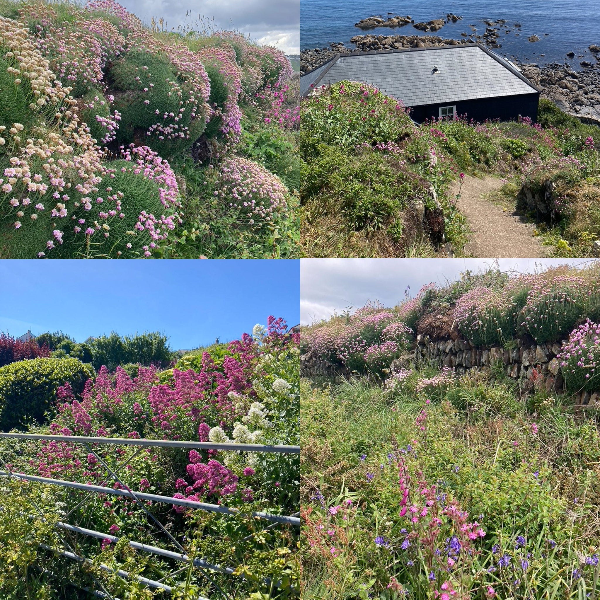 Coverack to Porth Beer