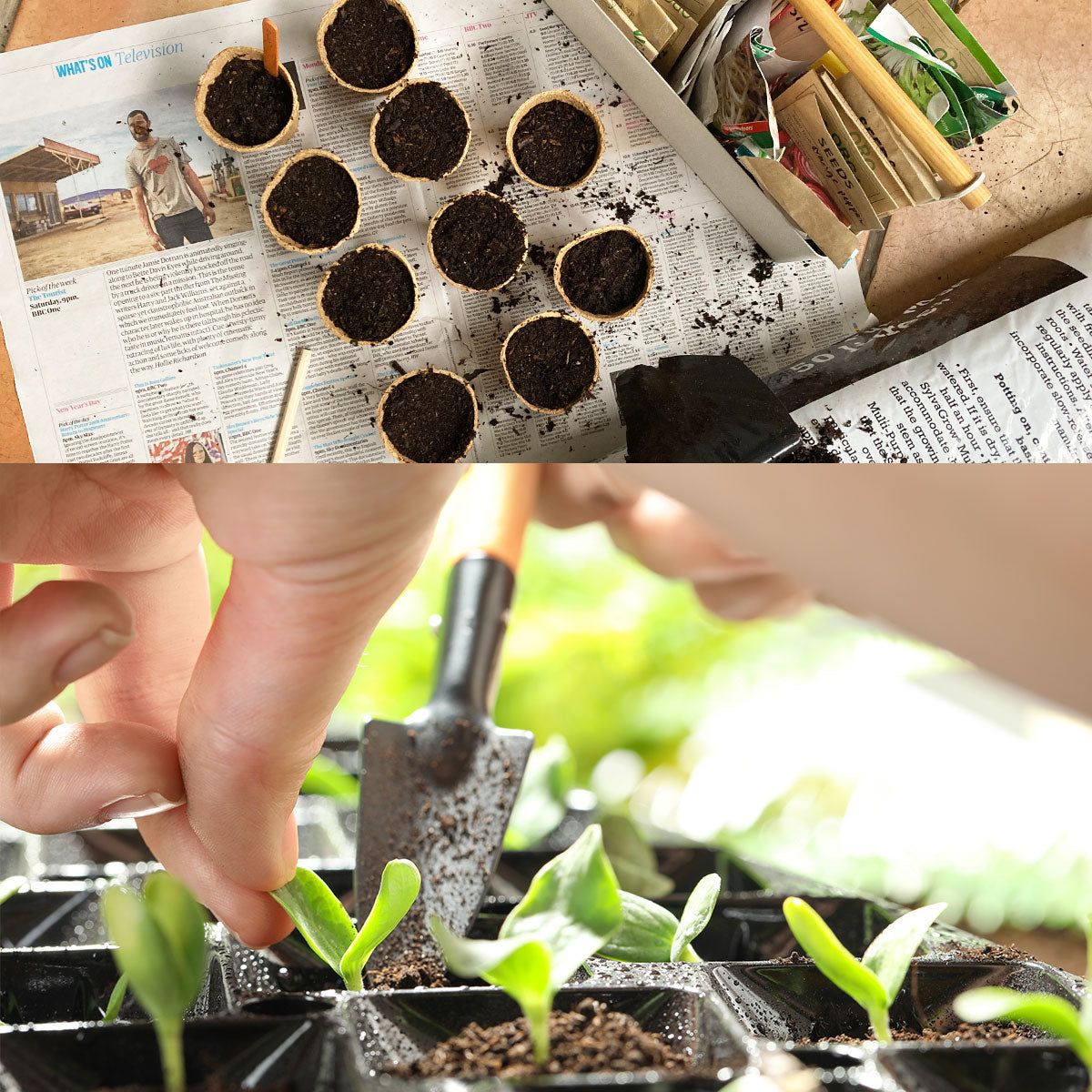 planting with paper pots particle press