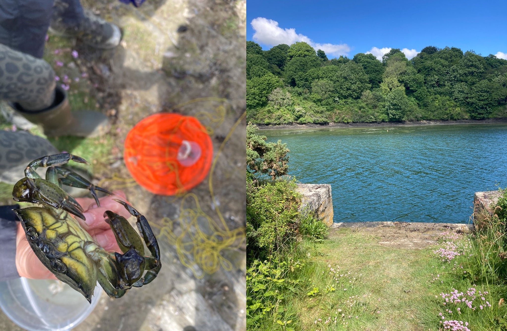 crabbing in Cornwall 