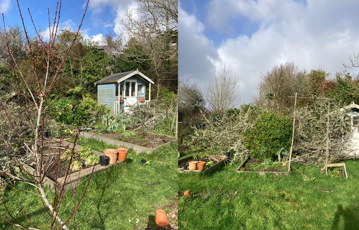 Storm Eunice my Cornish garden 