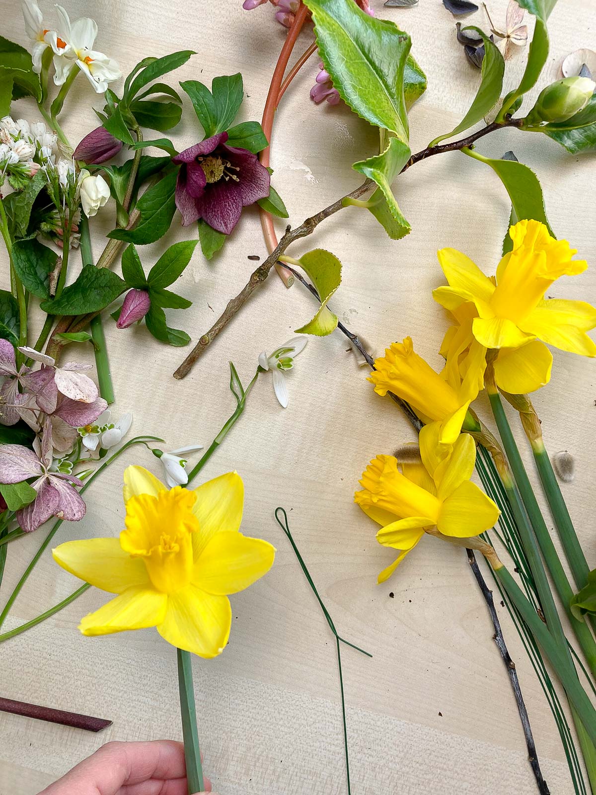 how to make a spring wreath Cornish daffodils