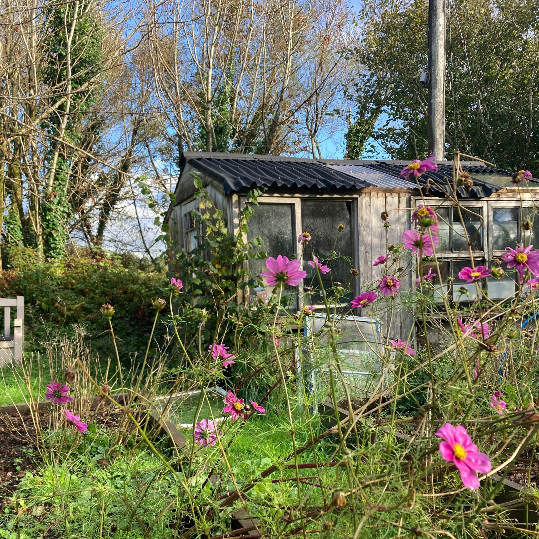 potting shed particle press