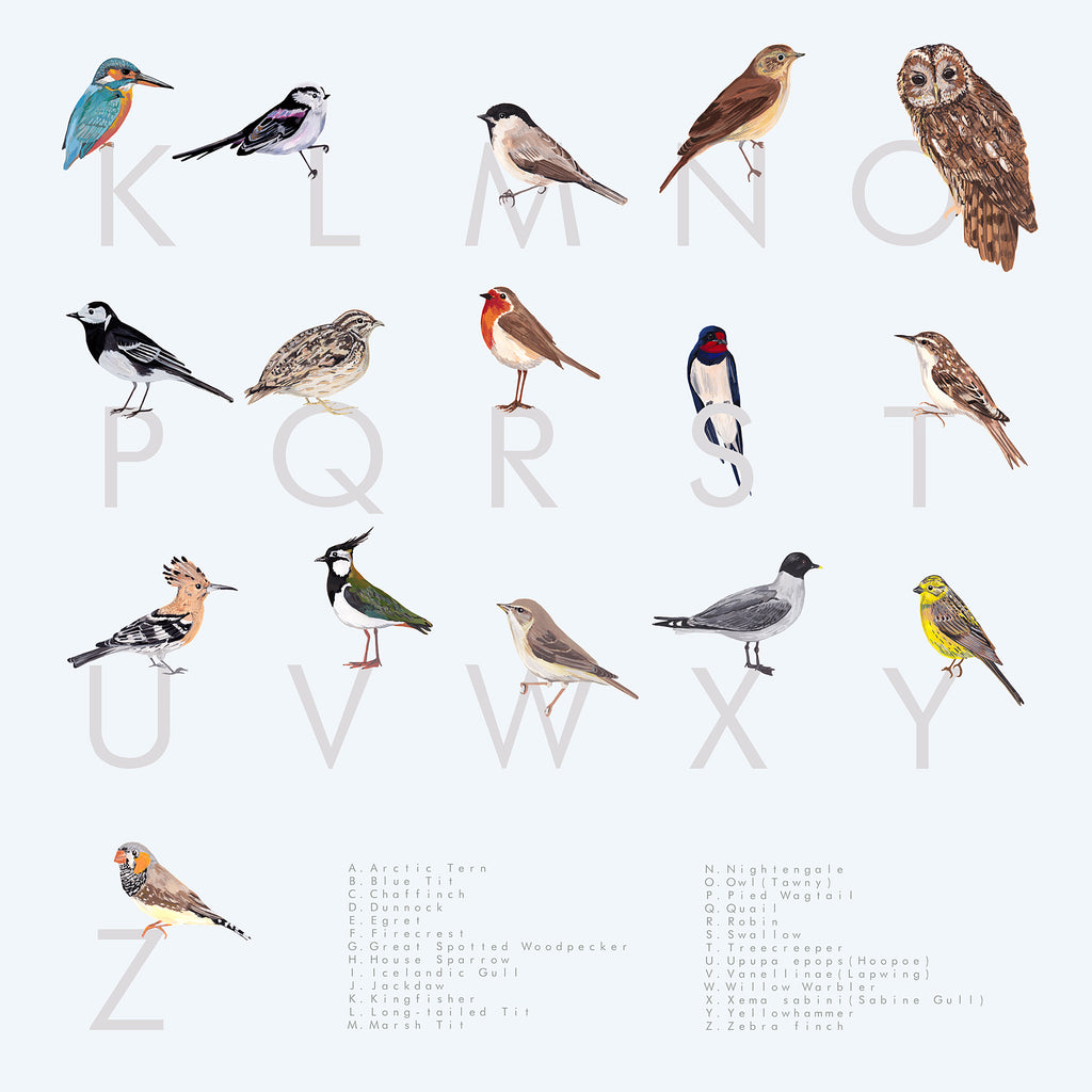A Z British Garden Bird Print Alphabetical List Of Garden Bird Species Particle Press