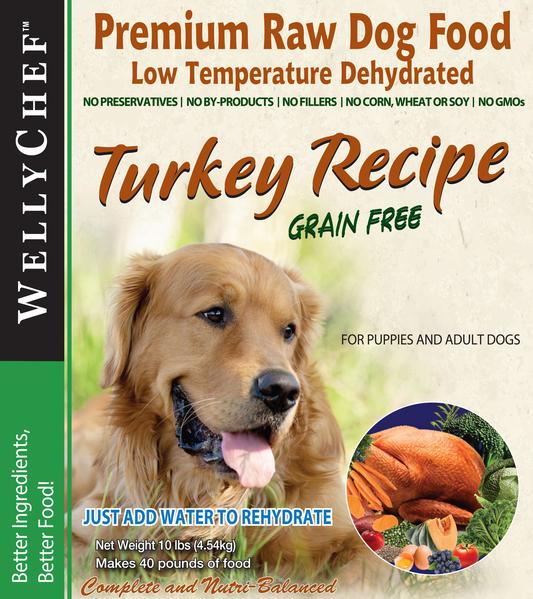 What Can I Give My Dog If He Is Dehydrated What Can I Give My Dog If He Is Dehydrated