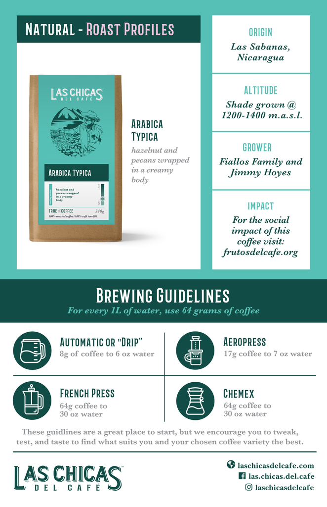 Arabica Typica Brew Card