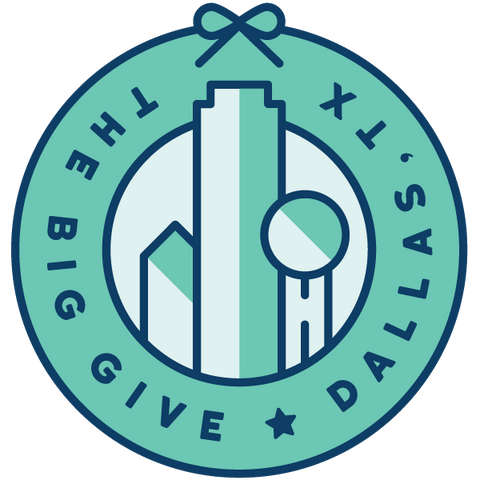 The Big Give in Dallas, Texas