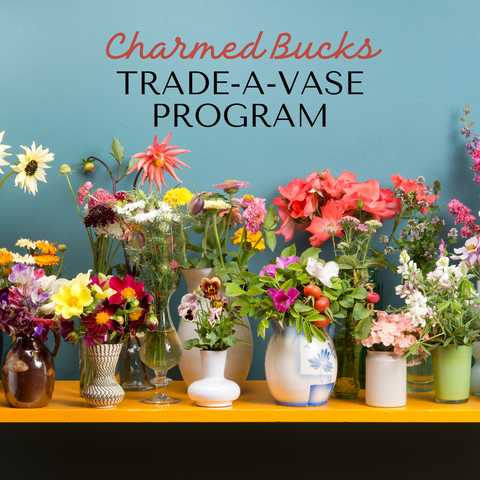 charmed bucks trade a vase program