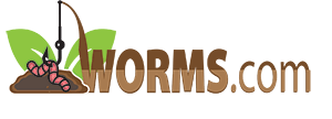 Worms.com