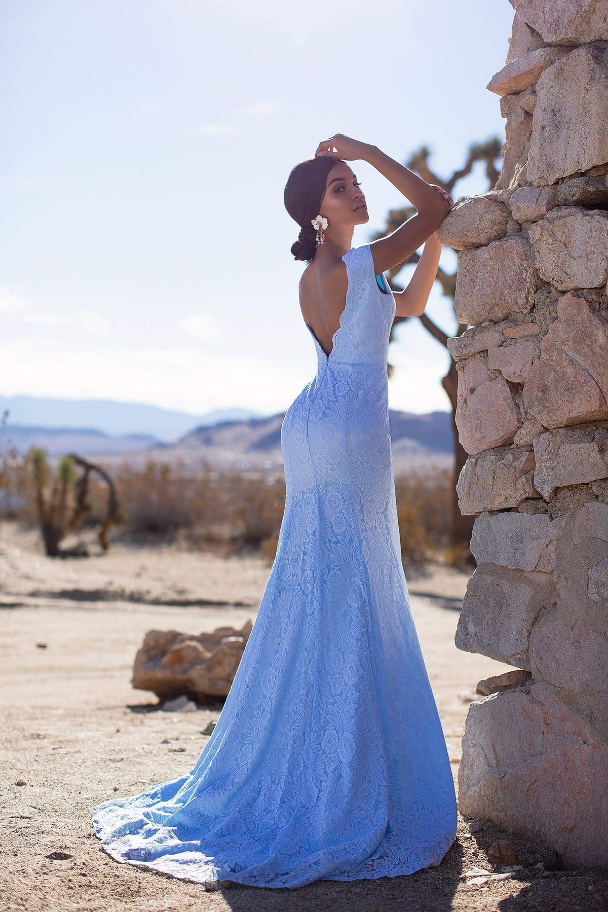 A&N Luxe Ivy - Sky Blue Lace Gown with Plunge Neck & Open Back – A&N ...