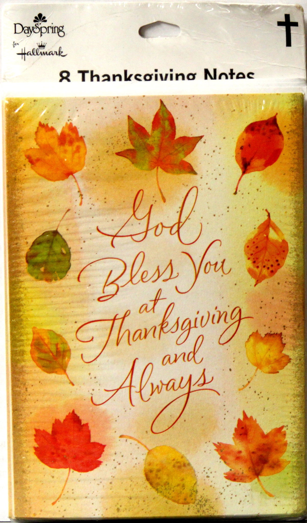 Hallmark Dayspring 8 Thanksgiving Notes & Envelopes Set