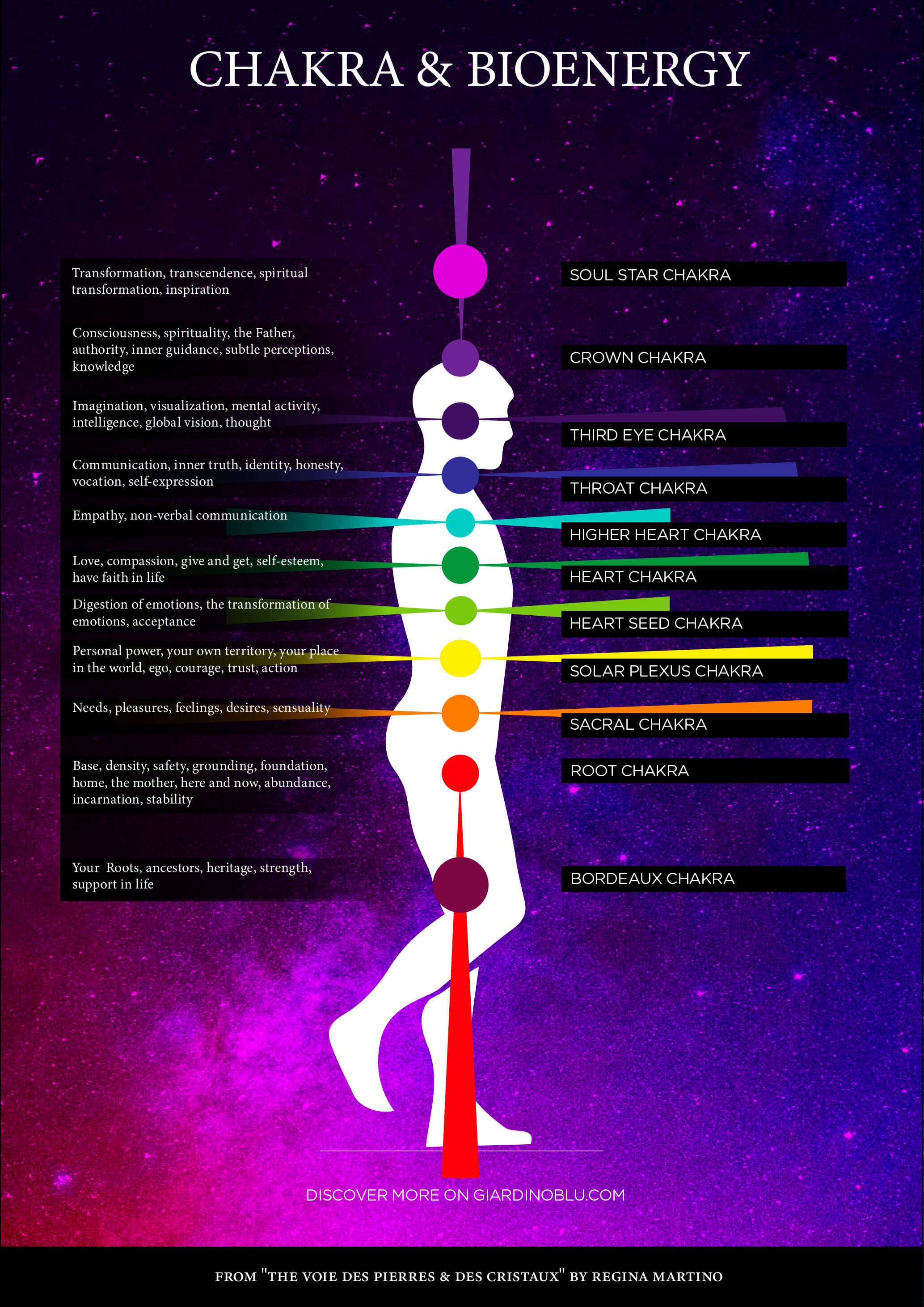 Chakras and Bioenergy diagram