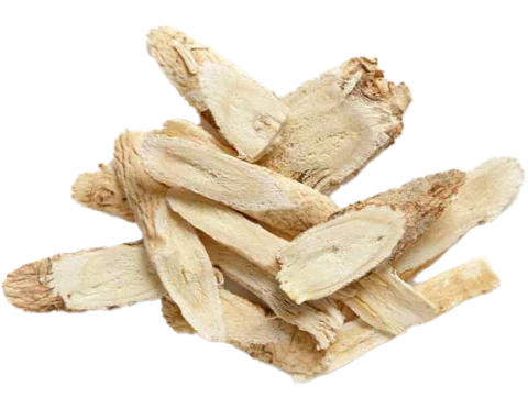 Astragalus