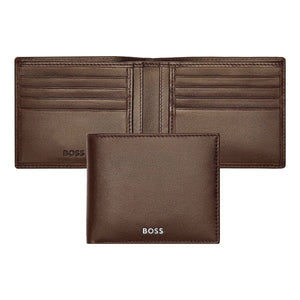 silber13 HUGO BOSS Brieftasche, Classic Smooth, Brown