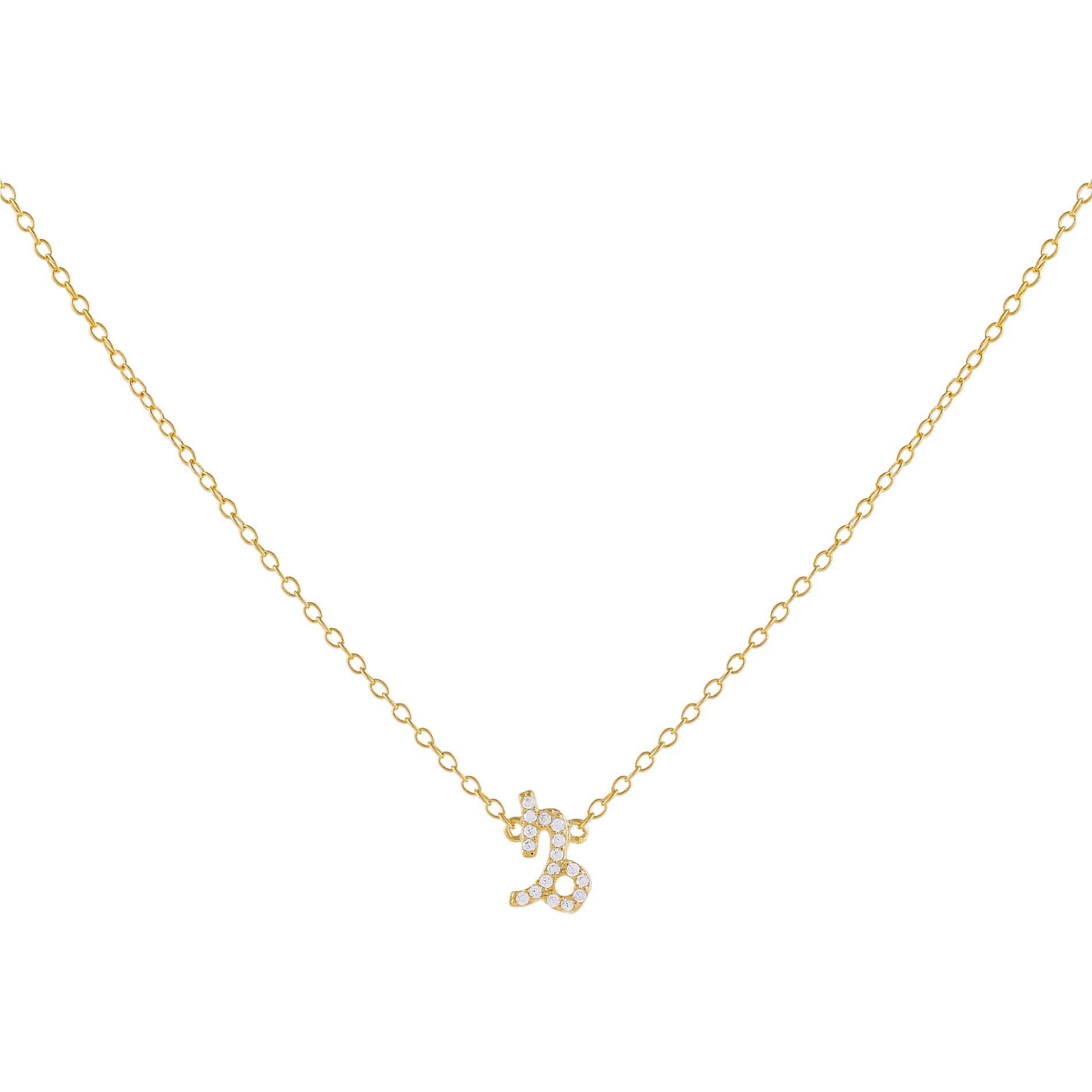 Hayopi Dainty Gold Initial Necklace for Women Girls,14K Gold