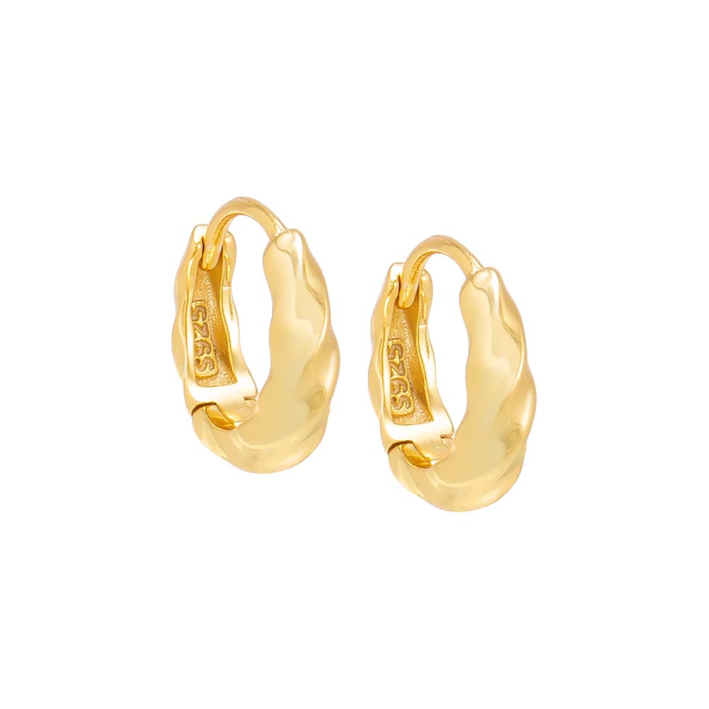 Mini Chunky Graduated Twist Huggie Earring