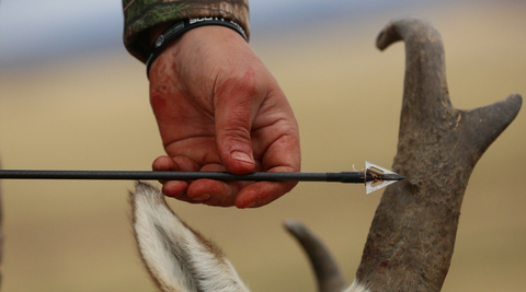 slick trick broadhead antelope