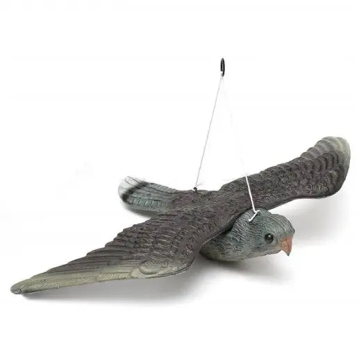 Épouvantail à oiseaux  Faucon
