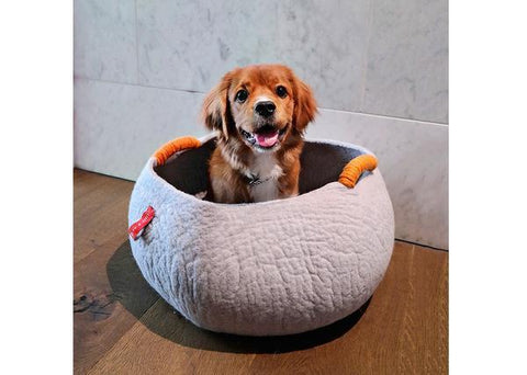 Designer Dog Beds Australia | Dog Baskets Australia for ...