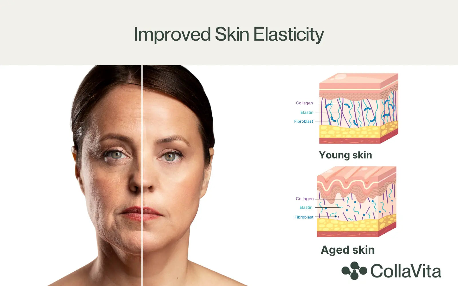 improved skin elasticity-CollaVita