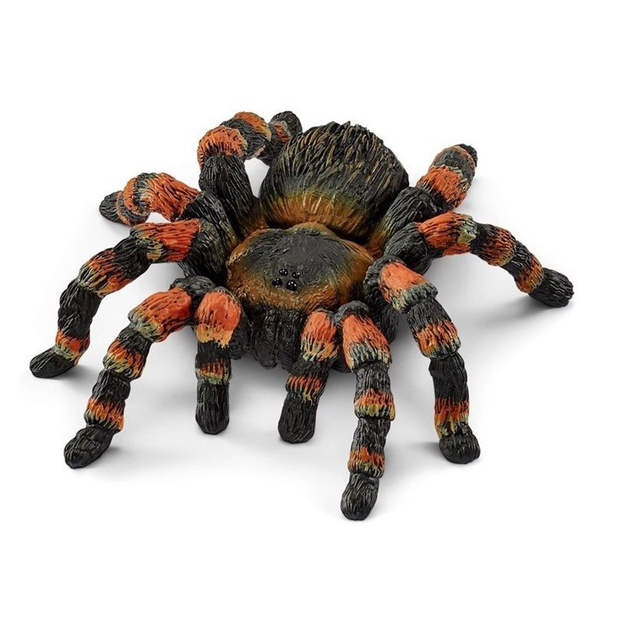 spider habitat toy