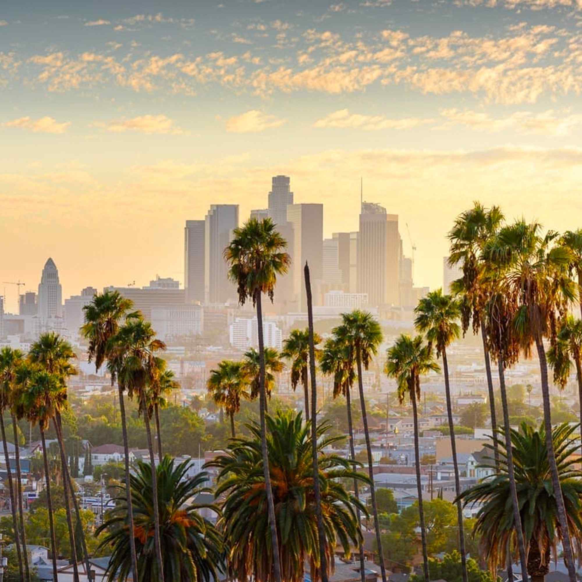 What Are The Best Places To Smoke In LA? Four Sesh Spots Not To Miss ...