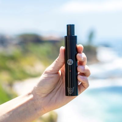 Linx Eden Switch Dry Herb Vaporizer in hand