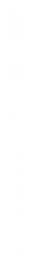 これぞ、