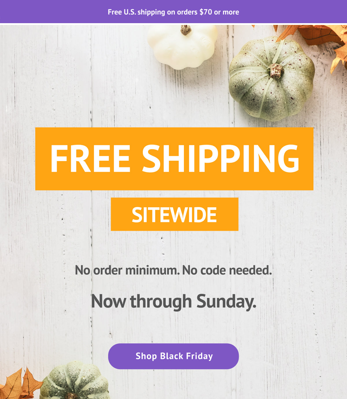 Email banner announcing that there's free shipping for Black Friday