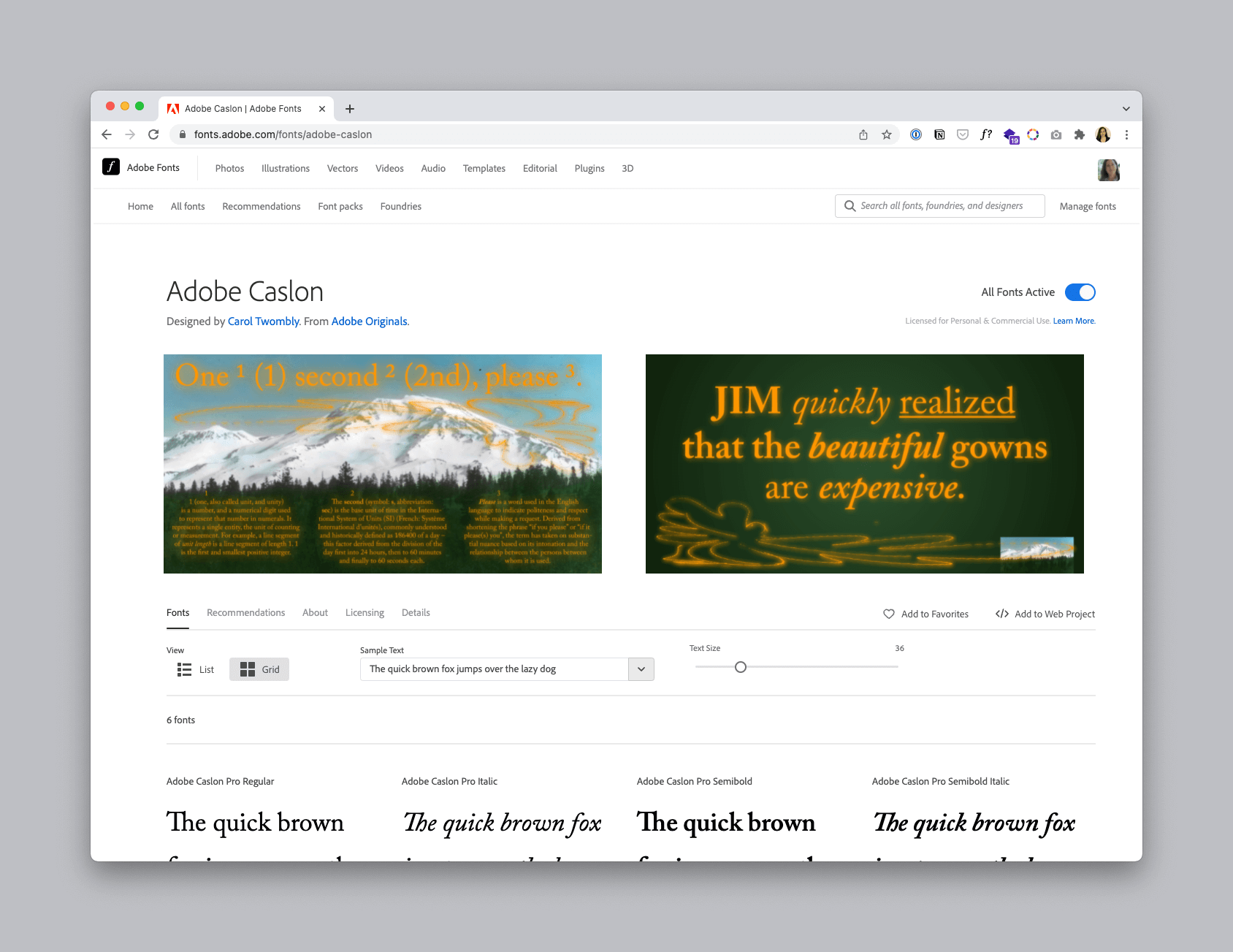 An example of a font family landing page in Adobe Fonts, showing examples of all the available styles