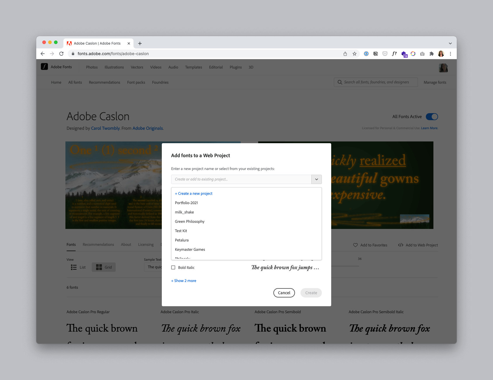 A project dropdown list showing several existing projects, within the Web Project pop-up screen.