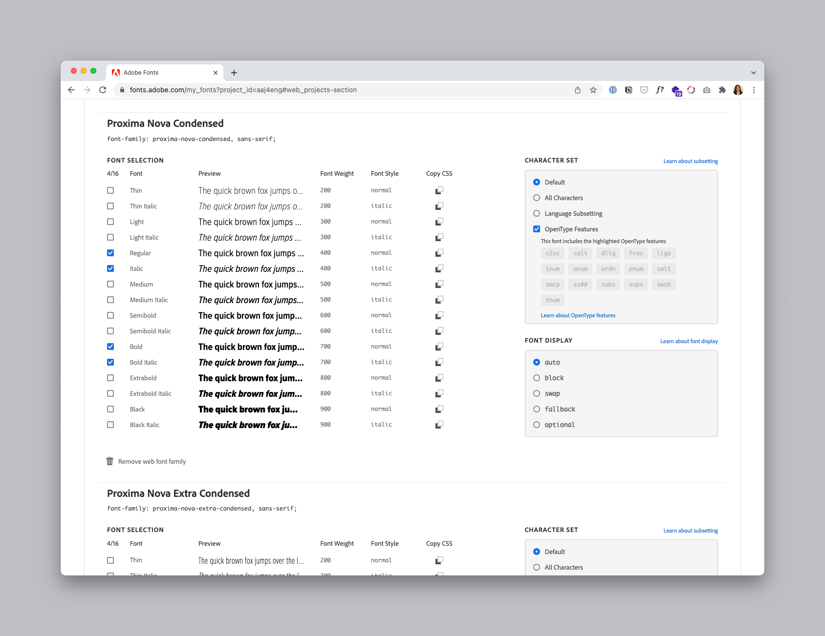 The "Edit Details" view shows a list of all fonts in a project. Users can toggle fonts on and off or delete font families entirely.