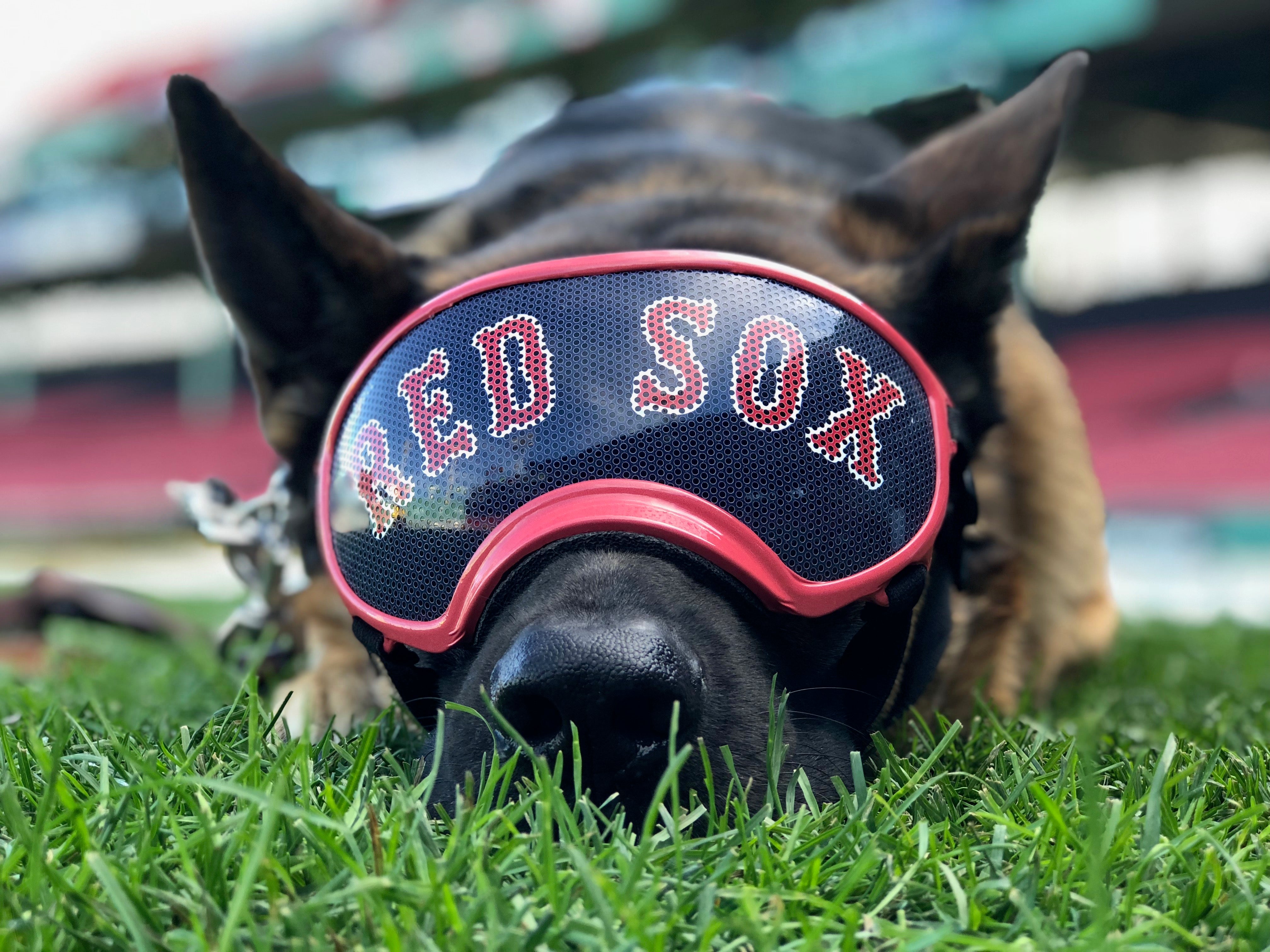 fenway dog collar