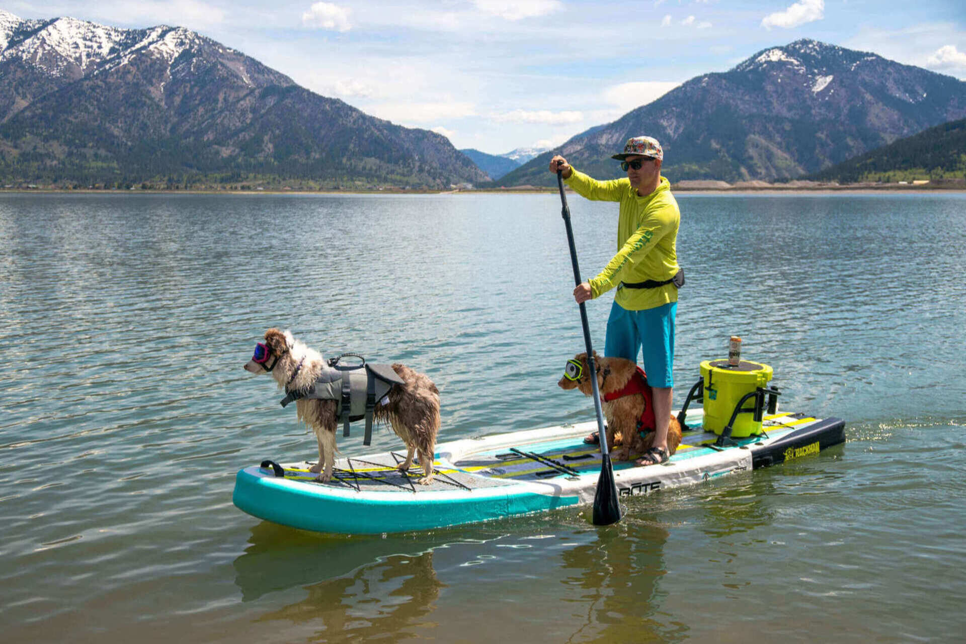 paddle boarding with dogs